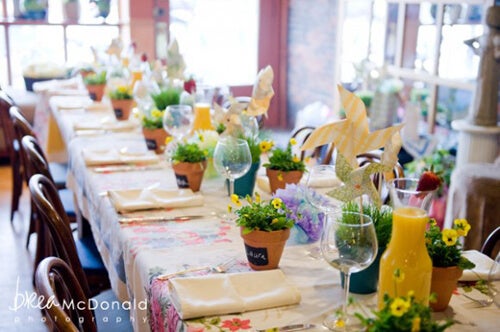 SpringPartyContest